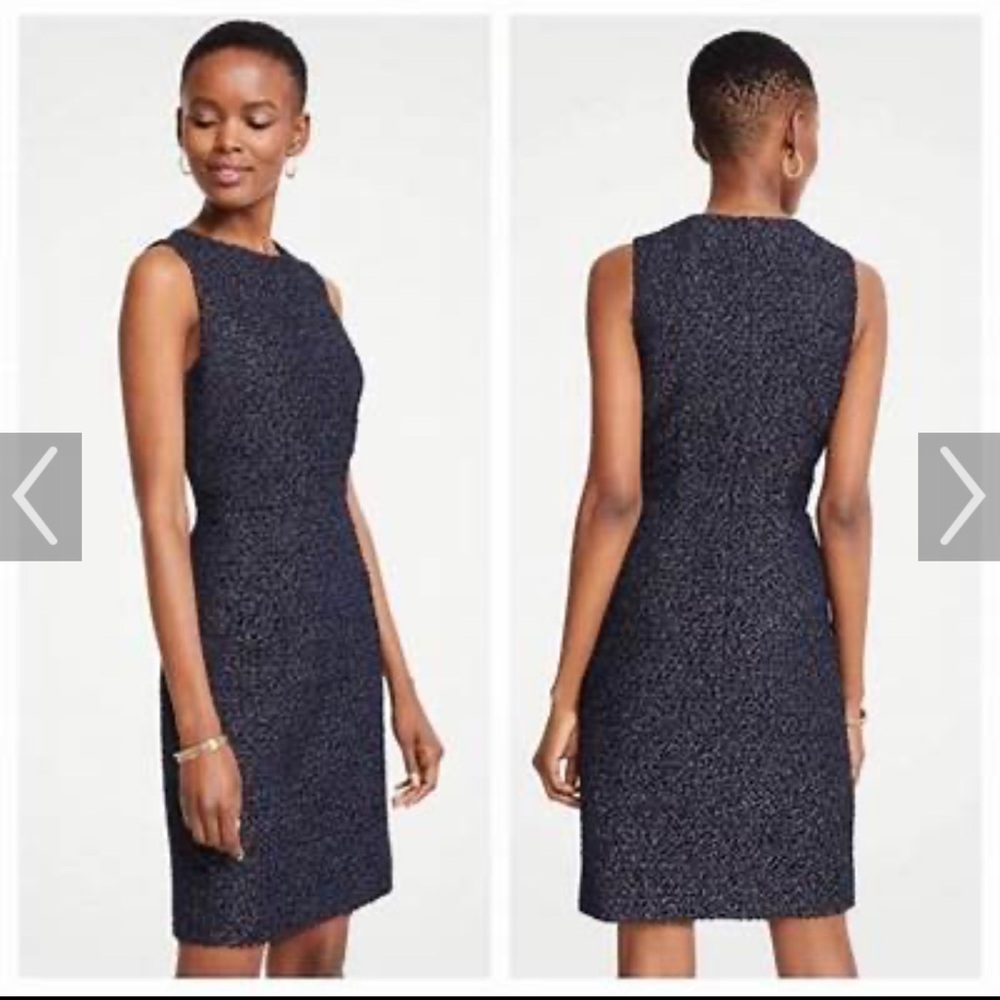 Ann Taylor dress 4